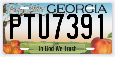 GA license plate PTU7391
