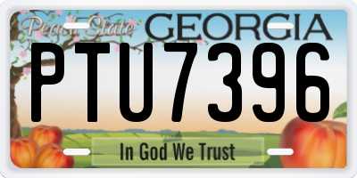 GA license plate PTU7396