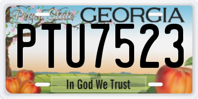 GA license plate PTU7523
