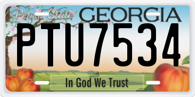 GA license plate PTU7534