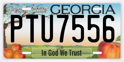 GA license plate PTU7556