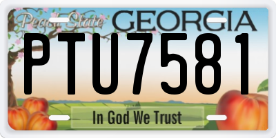 GA license plate PTU7581
