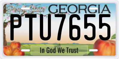 GA license plate PTU7655