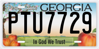 GA license plate PTU7729