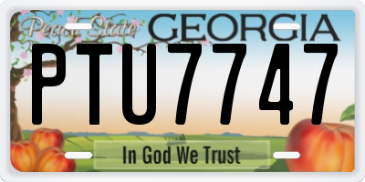 GA license plate PTU7747