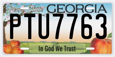 GA license plate PTU7763