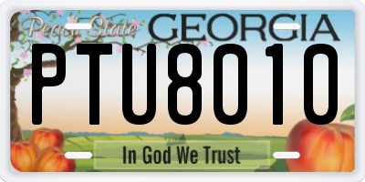 GA license plate PTU8010