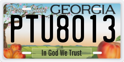 GA license plate PTU8013