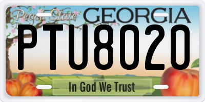GA license plate PTU8020