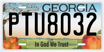 GA license plate PTU8032