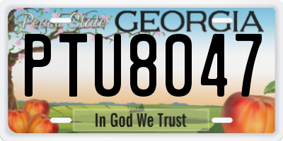 GA license plate PTU8047