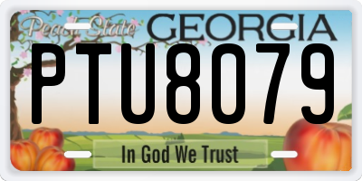 GA license plate PTU8079
