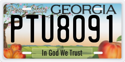 GA license plate PTU8091
