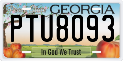 GA license plate PTU8093