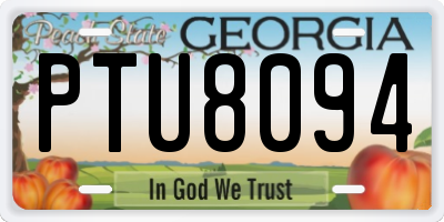 GA license plate PTU8094