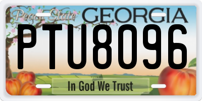 GA license plate PTU8096