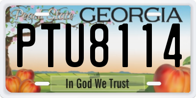 GA license plate PTU8114