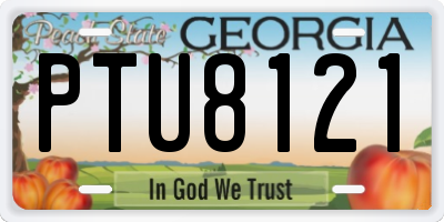 GA license plate PTU8121