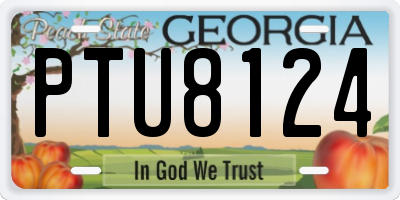 GA license plate PTU8124