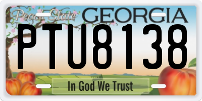 GA license plate PTU8138
