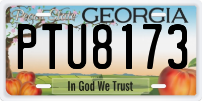 GA license plate PTU8173