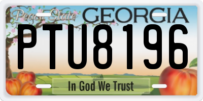 GA license plate PTU8196