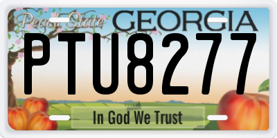 GA license plate PTU8277