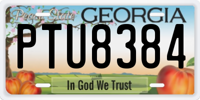 GA license plate PTU8384