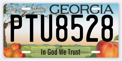 GA license plate PTU8528