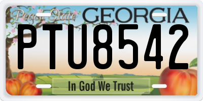 GA license plate PTU8542