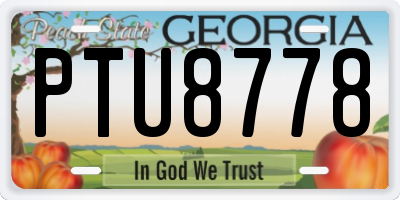 GA license plate PTU8778
