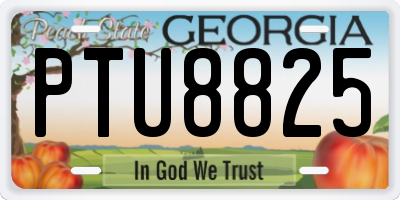 GA license plate PTU8825