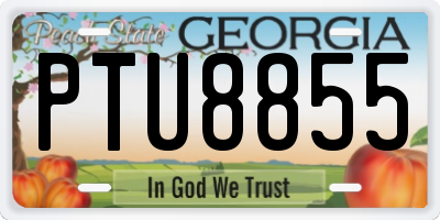 GA license plate PTU8855