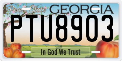 GA license plate PTU8903