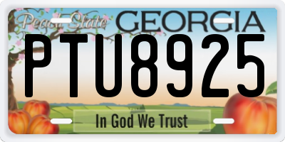 GA license plate PTU8925