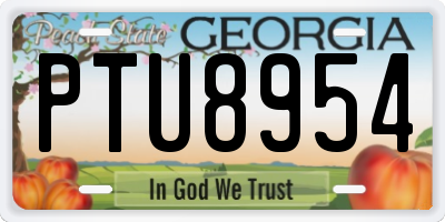 GA license plate PTU8954