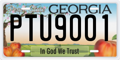 GA license plate PTU9001