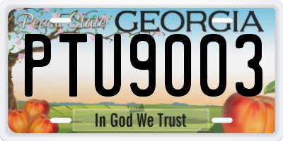 GA license plate PTU9003