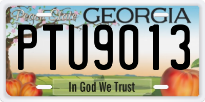 GA license plate PTU9013
