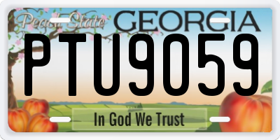 GA license plate PTU9059