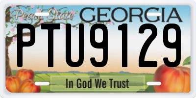 GA license plate PTU9129