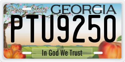 GA license plate PTU9250