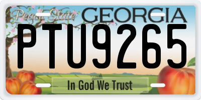GA license plate PTU9265