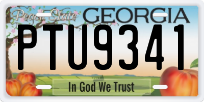 GA license plate PTU9341