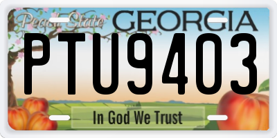 GA license plate PTU9403