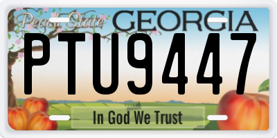 GA license plate PTU9447