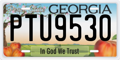 GA license plate PTU9530