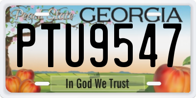GA license plate PTU9547