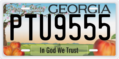 GA license plate PTU9555