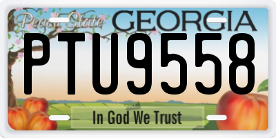 GA license plate PTU9558